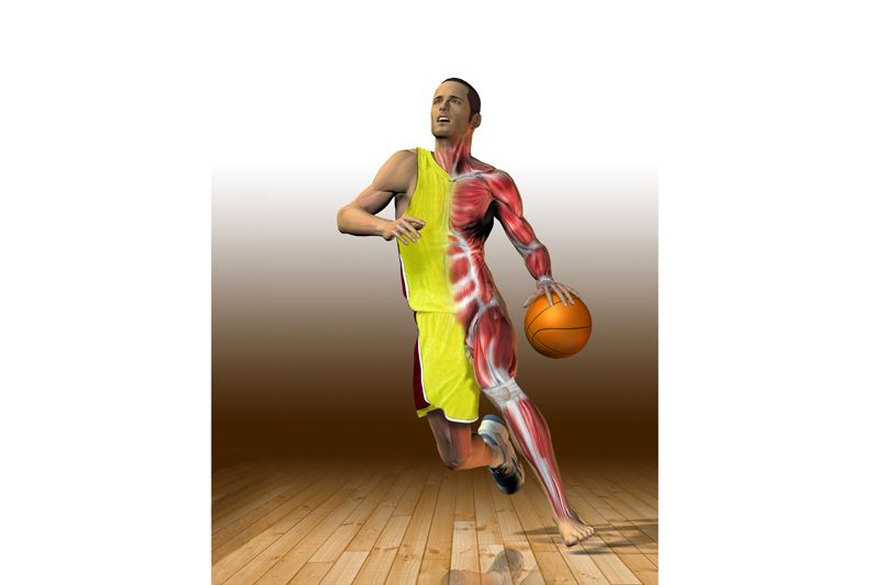 Preparación física específica: Baloncesto