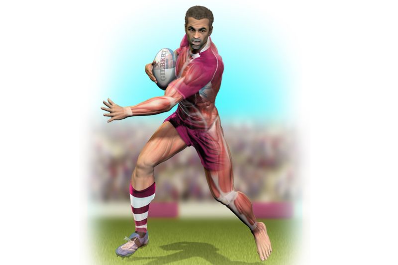 Preparación física para rugby