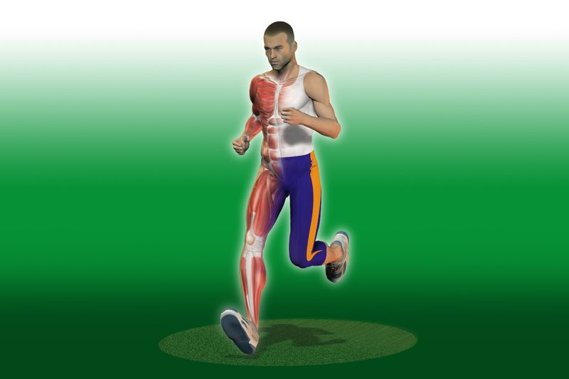 Preparacion física específica: Running