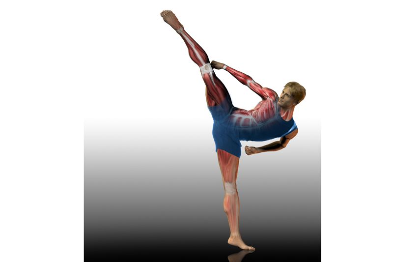 Preparacion física específica: Artes Marciales