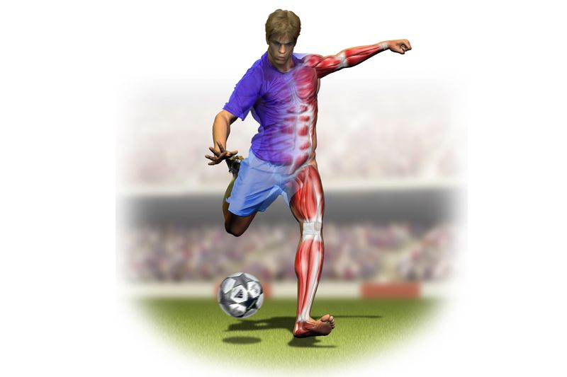Preparacion física específica: Fútbol