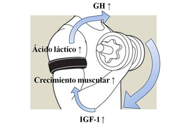 Entrenamiento oclusivo: ¿magia o ciencia?