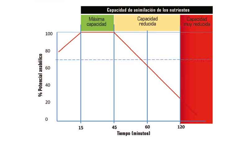 ¿Qué es eso de la ventana metabólica?