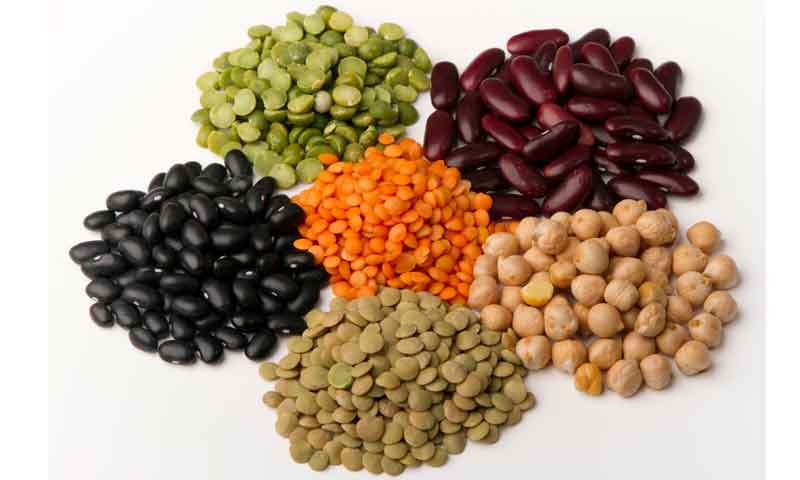 ¿Sabes dónde conseguir proteínas vegetales?