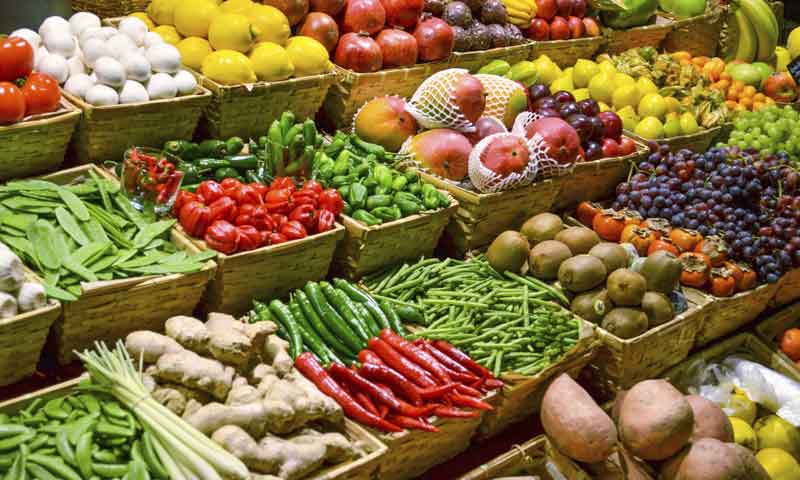 ¿Qué hay de nuevo en nutrición?