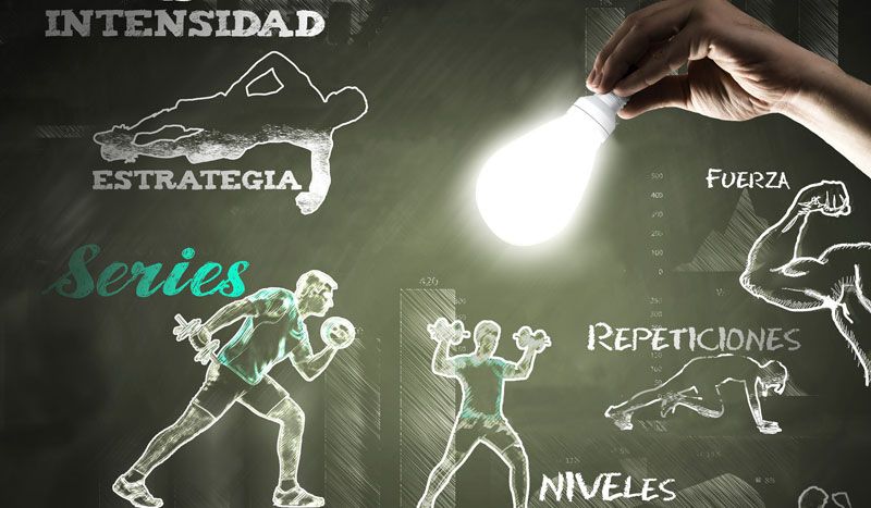 Aprende a diseñar tu propio programa de fuerza