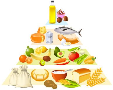 ¿Cómo reparto las calorías? ¿Cuánto puedo comer? ¿Cuándo?