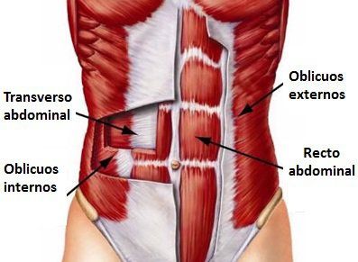 Llegó la hora de los ABDOMINALES