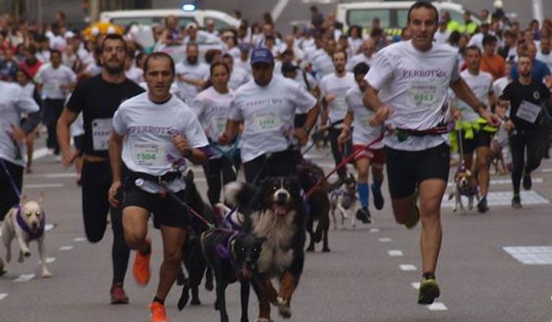 Una carrera a cara de perro: ¡vuelve el perrotón!