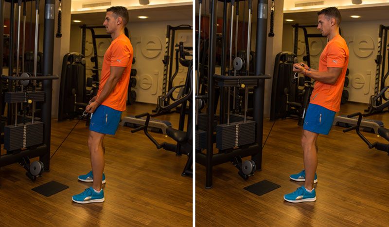 Vuelta al gimnasio: nivel medio