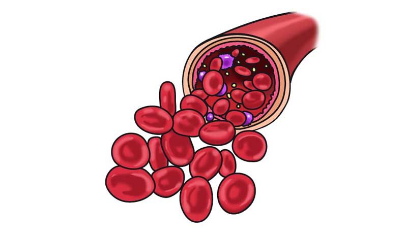 ¡Alerta roja con tus glóbulos!