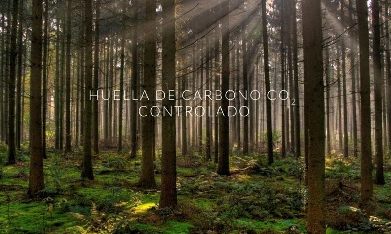 Únete al bosque de Chiruca y planta tu propio árbol