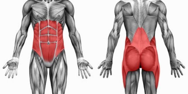 Entrenamiento funcional del CORE (TRX)