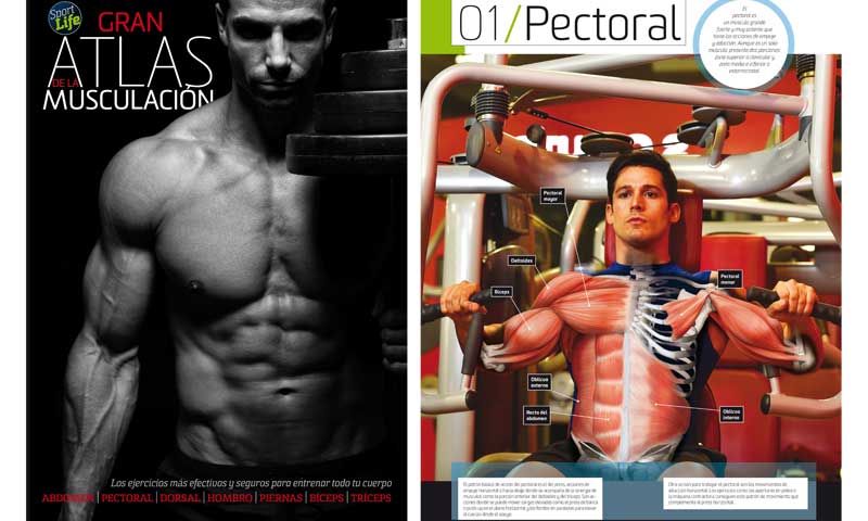 El Gran Atlas de la Musculación de Sport Life 200