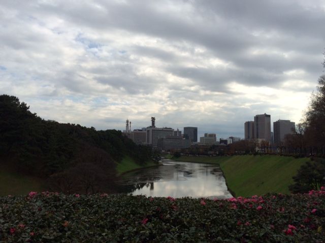 En Tokio, entrenando a mis pulsaciones En Tokio, entrenando a mis pulsaciones