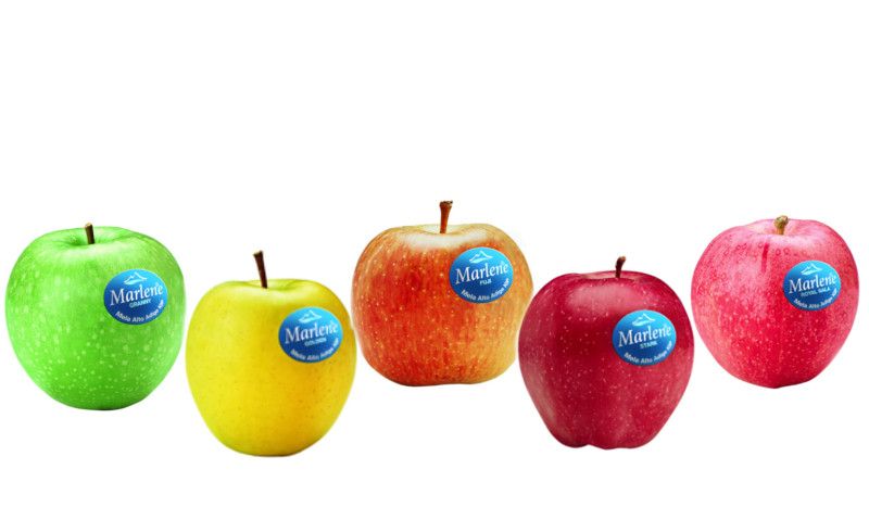Las propiedades que esconden los colores de las manzanas