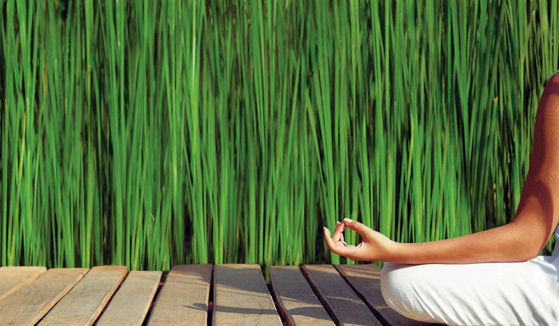 Yoga solidario en Barcelona