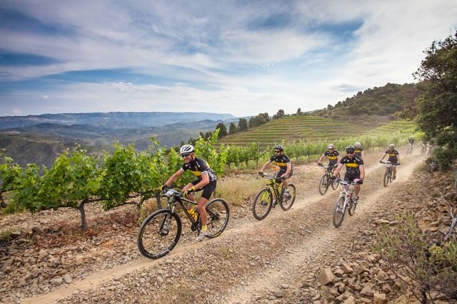 Mountain bike en el Priorat