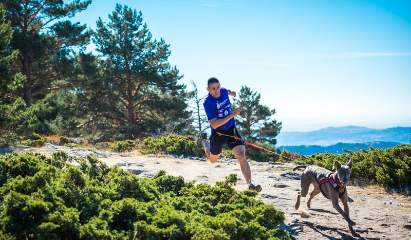 ¿Cómo tengo que correr con mi perro?