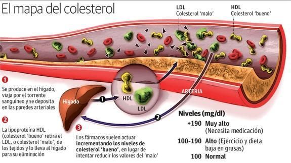 Cómo bajar el colesterol