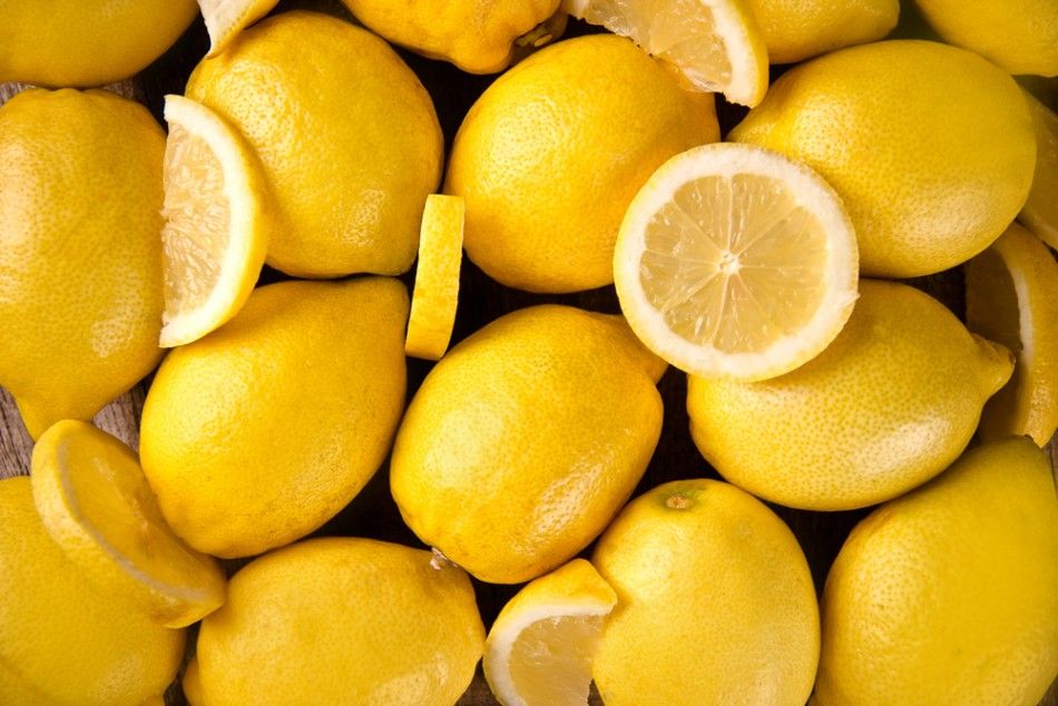 Los alimentos antiinfecciones