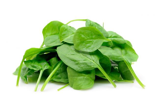 La dieta del frío