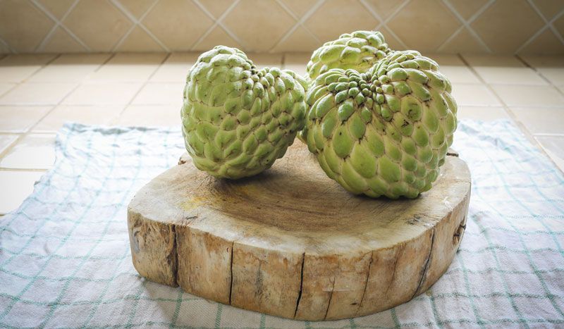 Chirimoya, el superalimento energético y refrescante