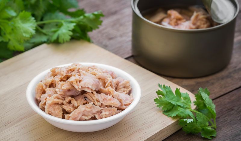 Las mejores proteínas... ¡en lata!