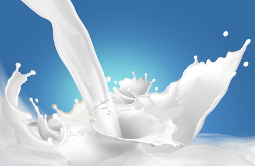 MEDALLA DE ORO PARA LA LECHE DE ASTURIAS