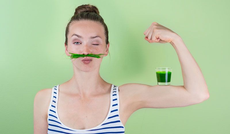 Proteinas verdes, ¡los vegetales que te ponen fuerte!