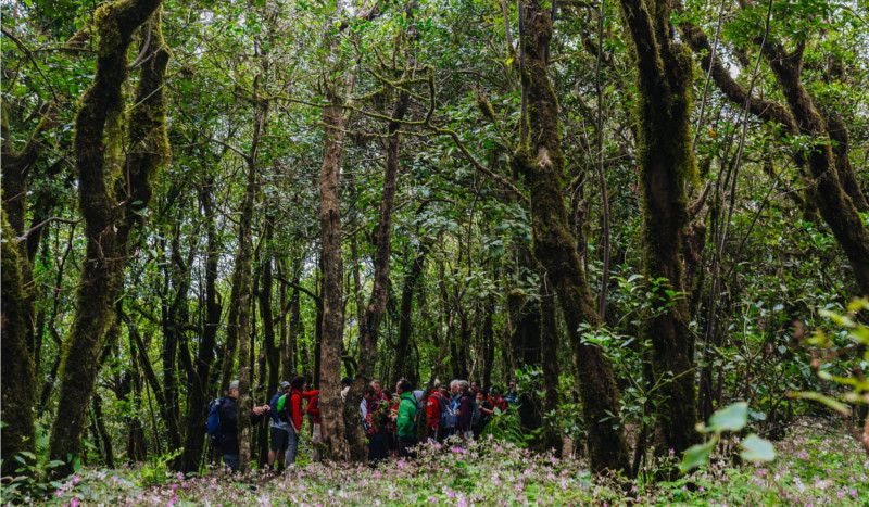 Tenerife Walking Festival, referencia del senderismo europeo