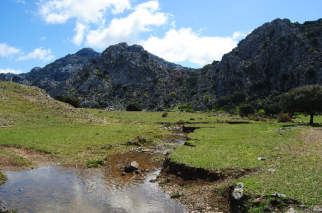 Yoga y actividades de naturaleza en Andalucía