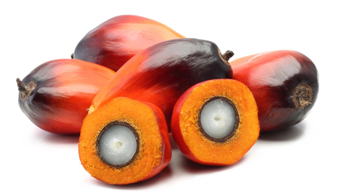 Aceite de palma, ¿el enemigo de tus músculos?