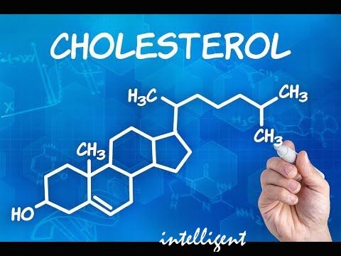 El mito del colesterol