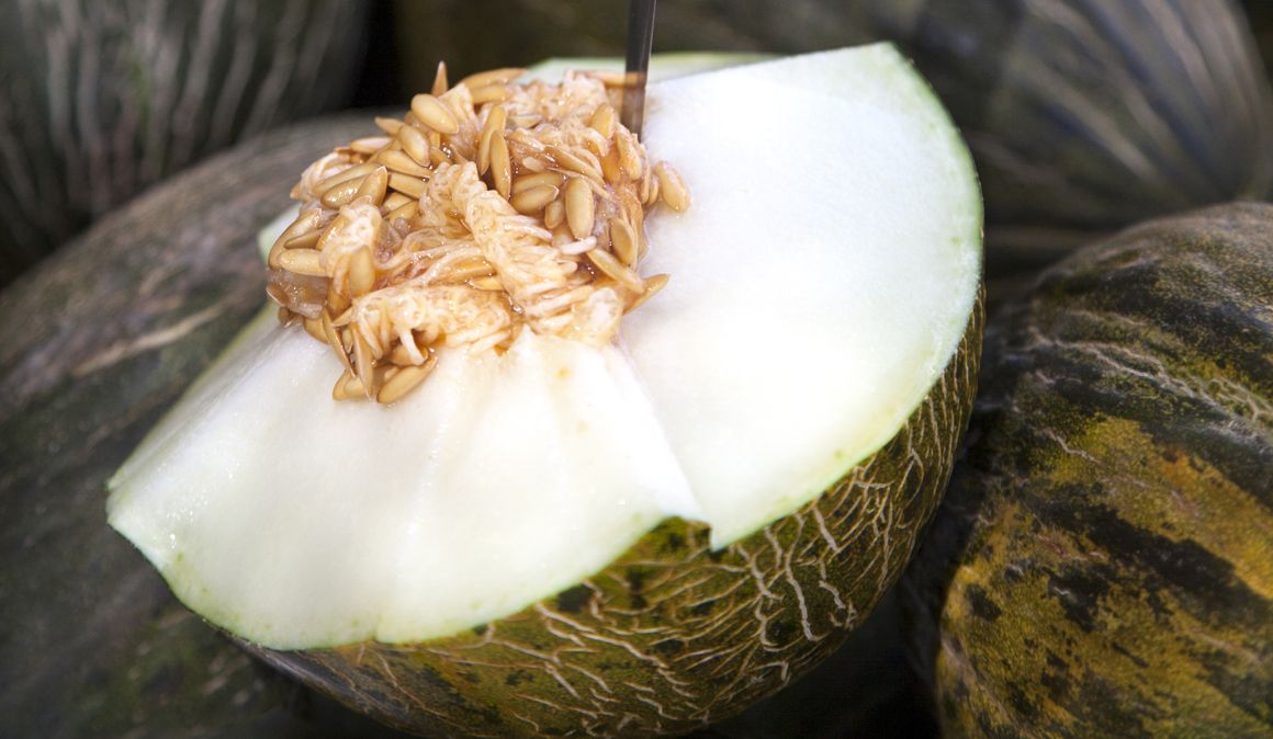 Melón, el alimento que te endulza e hidrata