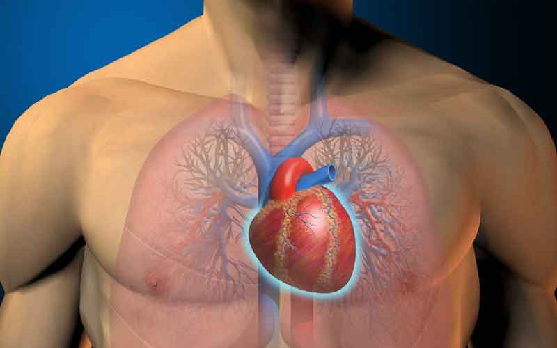 La muerte súbita del corredor y los falsos mitos de la cardiología deportiva
