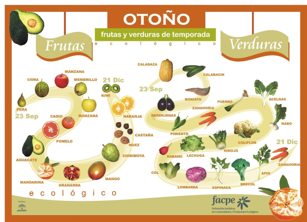 Las 10 verduras y frutas de este otoño