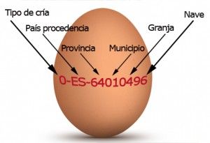 ¿Es peligroso lavar los huevos?
