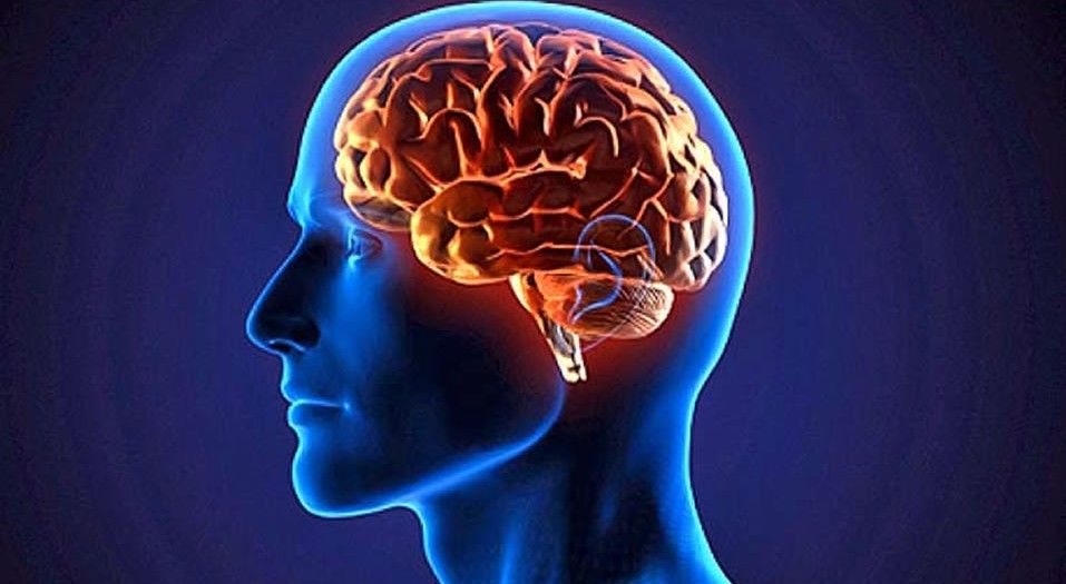 La dieta para un cerebro joven