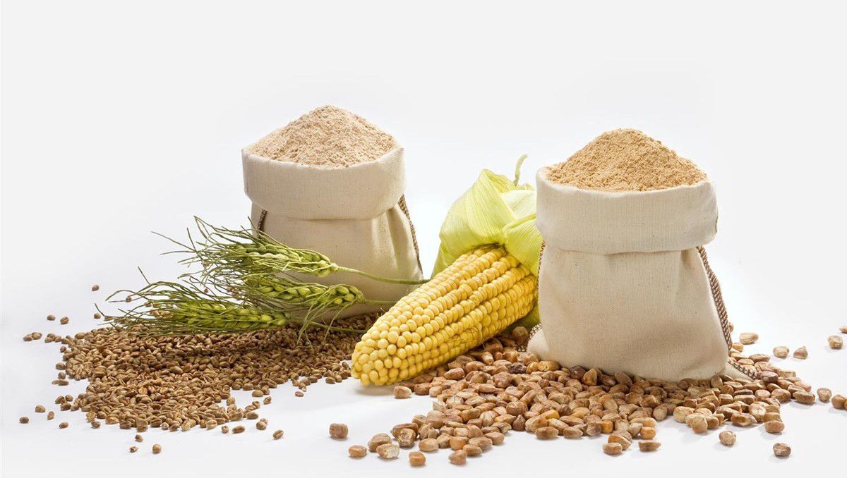 El gofio, superalimento para deportistas