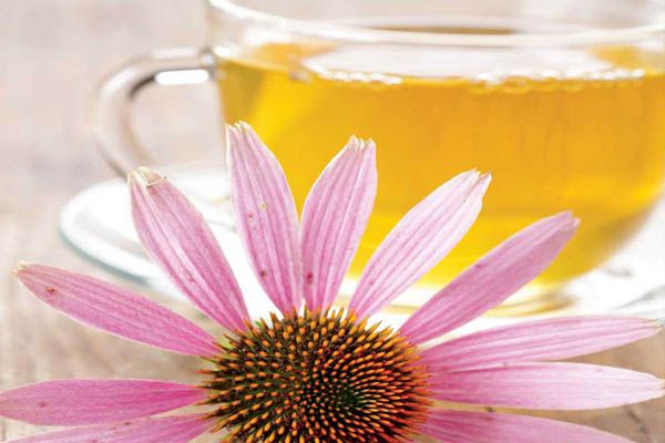 La infusión anti-gripe