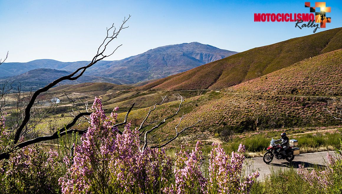 ¡Apúntate al reto de MOTOCICLISMO Rally!