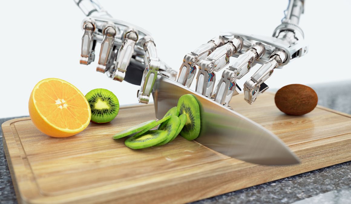 Transgénicos e insectos, ¿la nutrición fitness del futuro? ¿es este el camino?