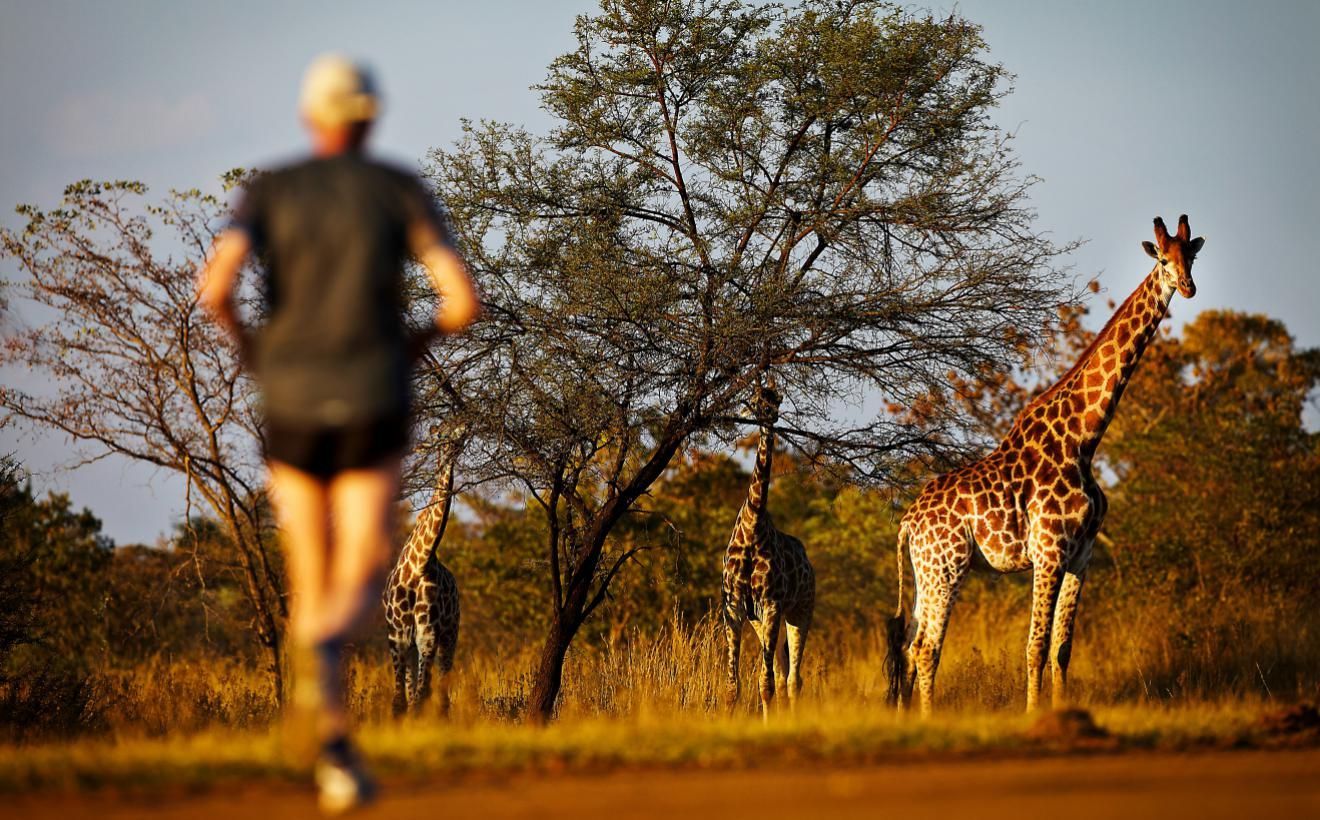 Los tres maratones más originales del mundo