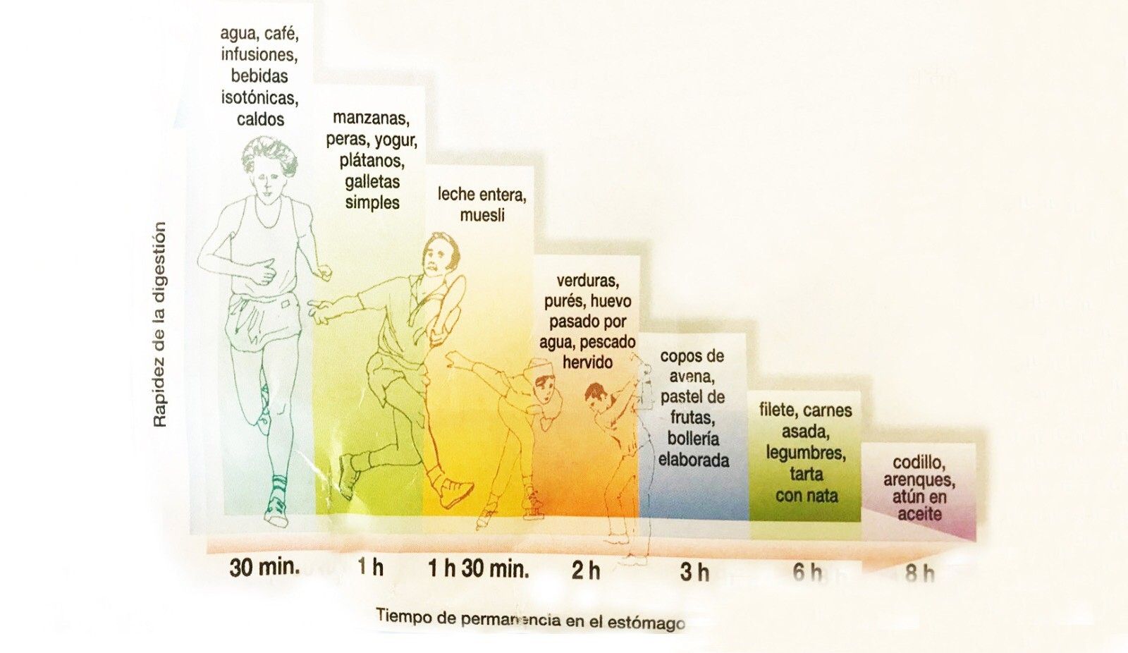 Lo que tienes que comer para tu digestión sea rápida