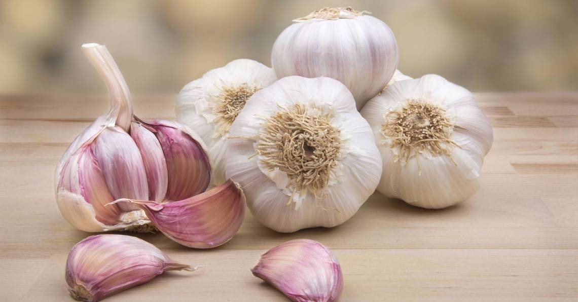 Ajo, el antibiótico natural