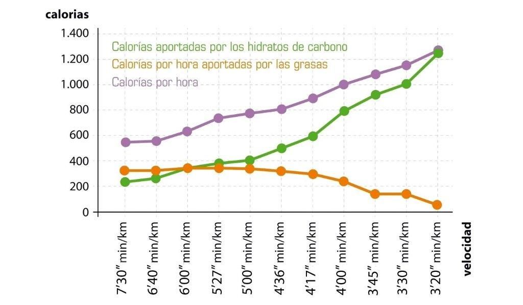Las calorías de tus carreras