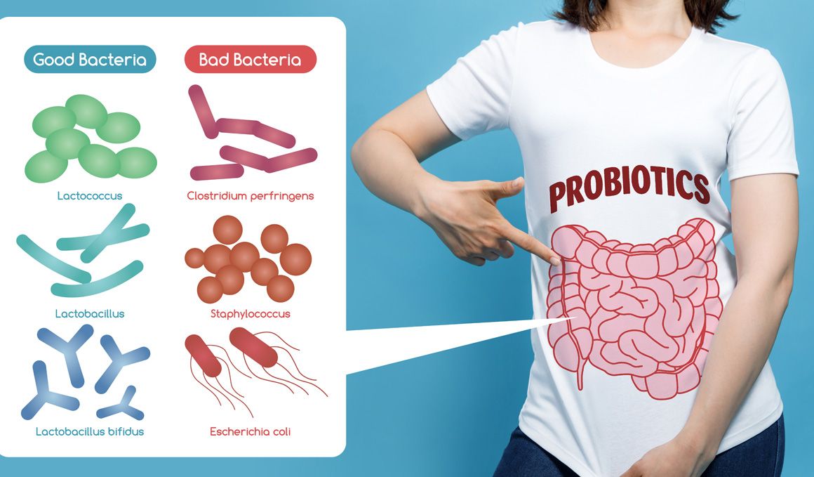 Todo sobre la salud de tu intestino, así funciona la flora intestinal
