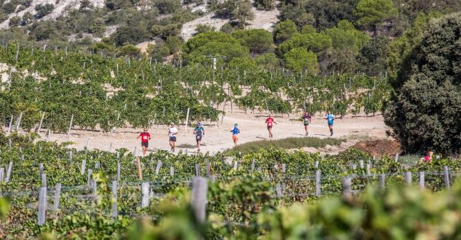 Ribera Run Race