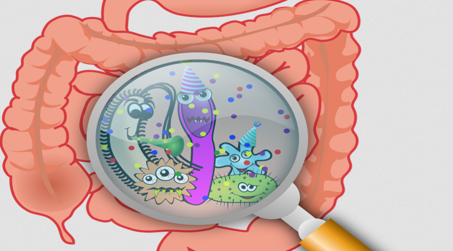 Así afecta la microbiota a tu rendimiento deportivo